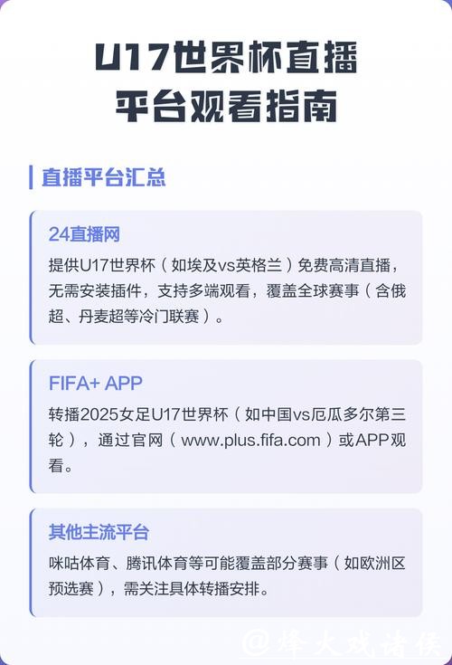 官方世界杯平台入口指南